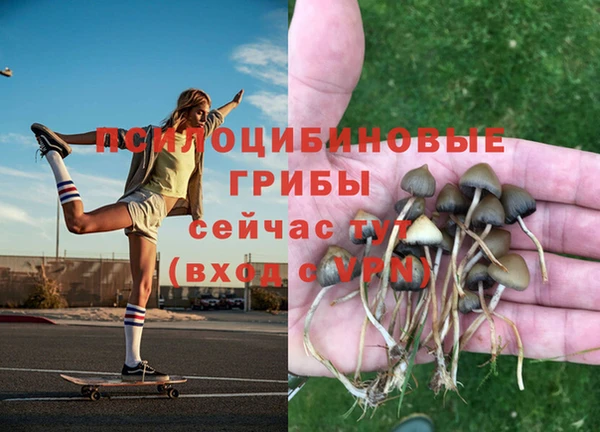 шишки Бугульма